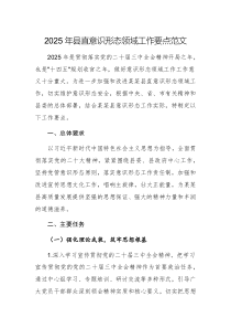 2025年縣直意識形態(tài)領域工作要點范文