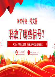 2025中央一號文件釋放了哪些新信號PPT黨課課件（20250227）