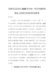市委書記在學(xué)習(xí)2025年中央一號(hào)文件精神專題會(huì)上的研討發(fā)言材料供參考