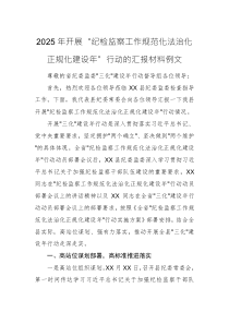 2025年開展“紀檢監(jiān)察工作規(guī)范化法治化正規(guī)化建設(shè)年”行動的匯報材料例文
