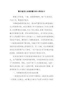 警示教育大會(huì)案例警示的心得體會(huì)2
