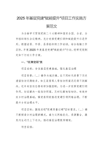 2025年基層黨建“賦能提升”項(xiàng)目工作實(shí)施方案范文