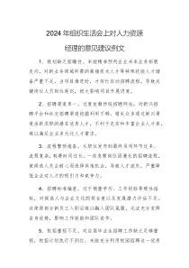 2024年組織生活會上對人力資源經(jīng)理的意見建議例文