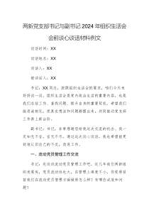 兩新黨支部書記與副書記2024年組織生活會會前談心談話材料例文