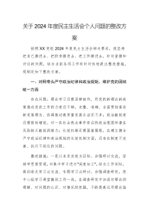 關(guān)于2024年度民主生活會(huì)個(gè)人問(wèn)題的整改方案例文