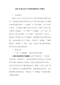2025年安全生產(chǎn)與自然災(zāi)害防治工作要點