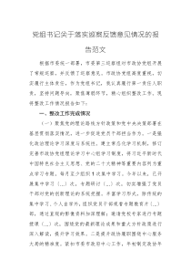 黨組書記關(guān)于落實巡察反饋意見情況的報告范文