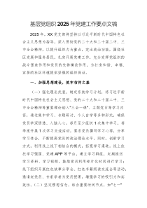 基層黨組織2025年黨建工作要點文稿