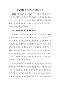 鄉(xiāng)2025年黨建工作計劃文稿