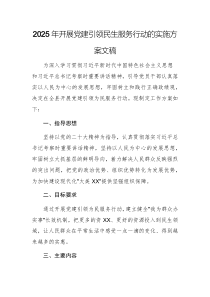 2025年開展黨建引領民生服務行動的實施方案文稿