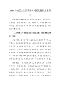 2024年度民主生活會個人問題的整改方案范文