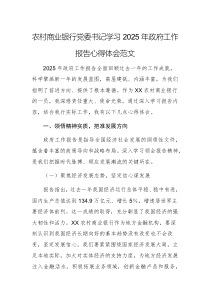 農(nóng)村商業(yè)銀行黨委書記學(xué)習(xí)2025年政府工作報(bào)告心得體會(huì)范文