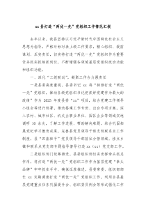 xx縣打造“兩優(yōu)一先”黨組織工作情況匯報(bào)