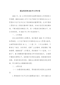 國(guó)企黨支部2025年工作計(jì)劃