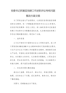 黨委書(shū)記抓基層黨建工作述職評(píng)議考核問(wèn)題整改方案文稿