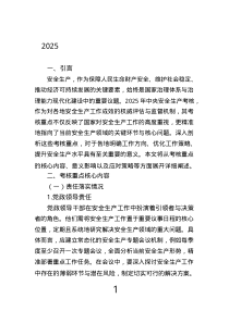 2025年中央安全生產(chǎn)考核重點(diǎn)深度剖析.text