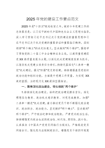 2025年黨的建設(shè)工作要點范文