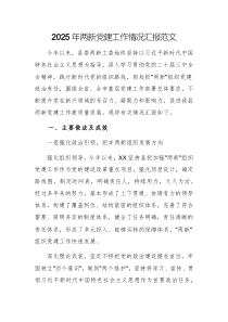 2025年兩新黨建工作情況匯報(bào)范文