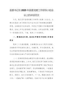 書記在2025年縣委黨建工作領(lǐng)導(dǎo)小組會(huì)議上的講話范文
