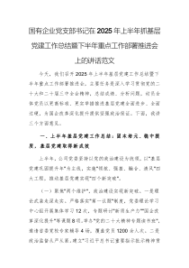 國(guó)有企業(yè)黨支部書記在2025年上半年抓基層黨建工作總結(jié)暨下半年重點(diǎn)工作部署推進(jìn)會(huì)上的講話范文