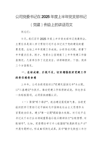 公司黨委書記在2025年度上半年黨支部書記（黨建）例會(huì)上的講話范文