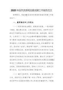 2025年自然資源局黨委黨建工作報(bào)告范文