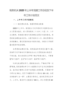 稅務(wù)機(jī)關(guān)2025年上半年黨建工作總結(jié)及下半年工作計(jì)劃范文