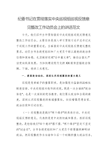 紀委書記在貫徹落實中央巡視組巡視反饋意見整改工作動員會上的講話范文