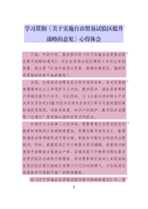 學(xué)習(xí)貫徹《關(guān)于實施自由貿(mào)易試驗區(qū)提升戰(zhàn)略的意見》心得體會