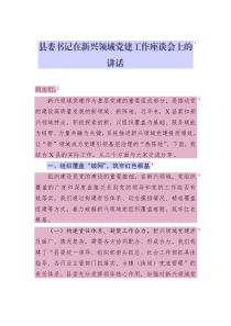 縣委書記在新興領域黨建工作座談會上的講話