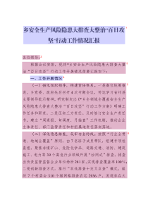 鄉(xiāng)安全生產(chǎn)風險隱患大排查大整治“百日攻堅”行動工作情況匯報